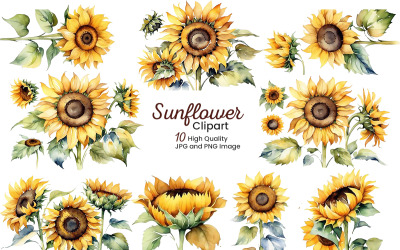 Hand painted sunflowers bouquets watercolor set with green leaves clipart