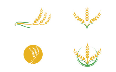 Comida de logotipo de arroz de aveia de trigo v3