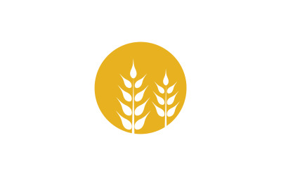 Nourriture de logo de riz d&amp;#39;avoine de blé v4