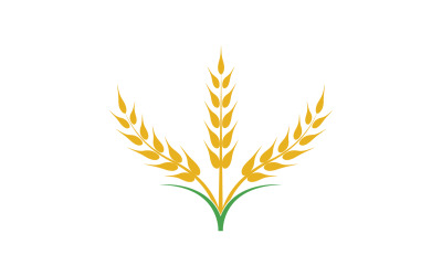 Trigo avena arroz logo comida v.8