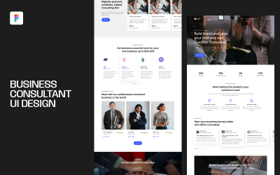 Business Consultant UI Webdesign