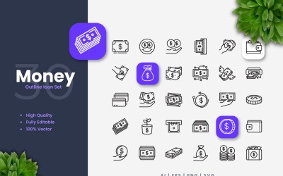 30 Geld overzicht Icon Set