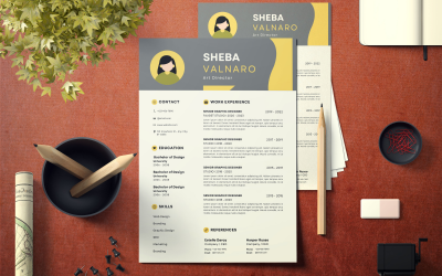Modern Profesyonel CV Özgeçmişi