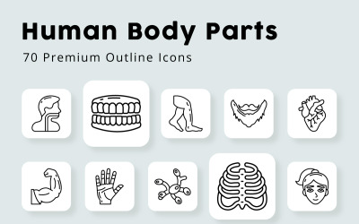 Części ciała ludzkiego i narządy zarys ikon