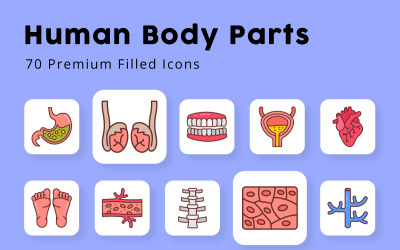 Human body Parts and Organs Filled Icons