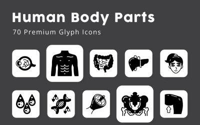 Icone del glifo delle parti e degli organi del corpo umano