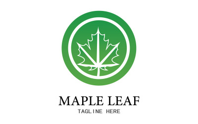 Icona del logo vettoriale foglia Mapple v24
