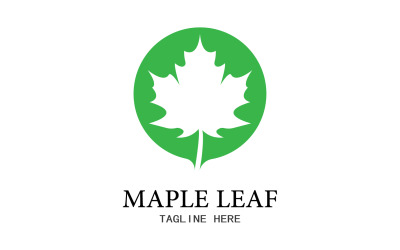 Icona del logo vettoriale foglia Mapple v28