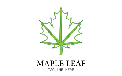 Leaf Maple Vektor-Logo-Symbol v3