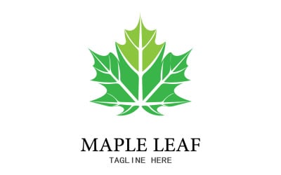 Leaf Mapple vektor logo ikon v4