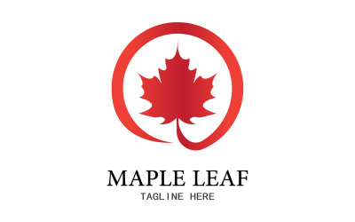 Leaf Mapple Vektor-Logo-Symbol v18