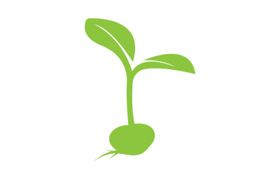 Logotipo de plantilla de brotes de brotes de semillas v3