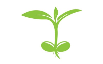 Logotipo de plantilla de brotes de brotes de semillas v8