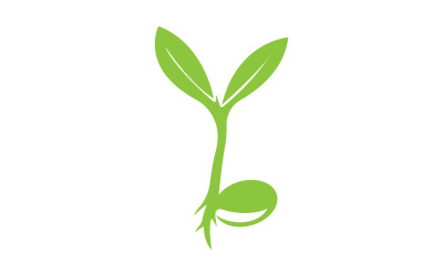 Seeds sprout sprouts template logo v15