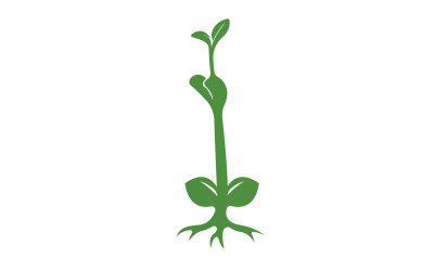Seeds sprout sprouts template logo v18