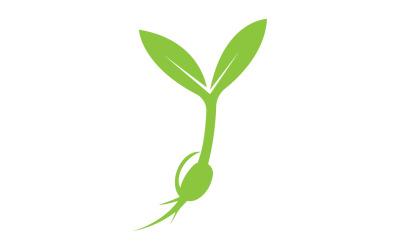 Seeds sprout sprouts template logo v1