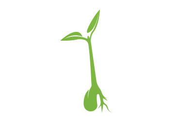 Seeds sprout sprouts template logo v20