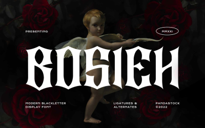 Bosieh Blackletter Display Font