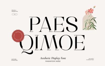 Police d&amp;#39;affichage Paes Qimoe Modern Serif