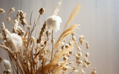 Dried Flowers Still Life White Flor 05