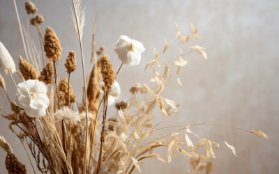 Dried Flowers Still Life White Flora 37