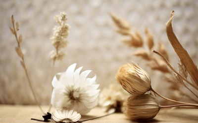 Torkade blommor Stilleben White Flora 34