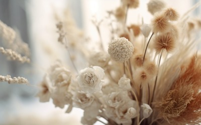 Torkade blommor Stilleben White Flora 64