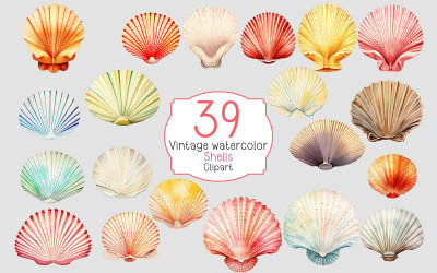 Clipart di conchiglie acquerello vintage retrò