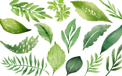 Aquarel groene bladeren set. Handgeschilderde illustratie
