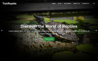 TishReptile - 爬行动物 WordPress 主题