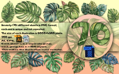PNG热带树叶水彩插图