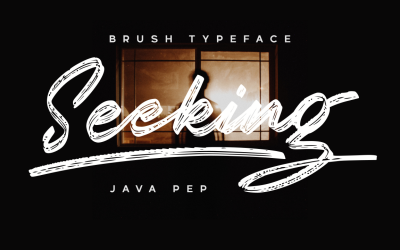 Seeking / casual brush font