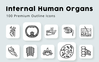 Organes humains internes 100 icônes de contour premium