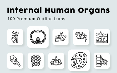 Órganos humanos internos 100 iconos de contorno premium