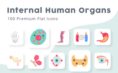 Órganos humanos internos 100 iconos planos premium