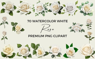 70 Watercolor White Rose PNG Clipart