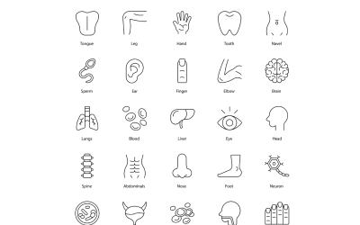 Human Body Icons Bundle Doctor icon Set