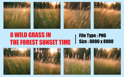 Makro Magic of Wild Grass in the Forest - Skapa en abstrakt sommarnaturbakgrund