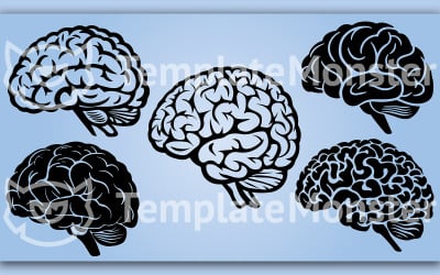 Cervello (cervello, vettore, illustrazione.)