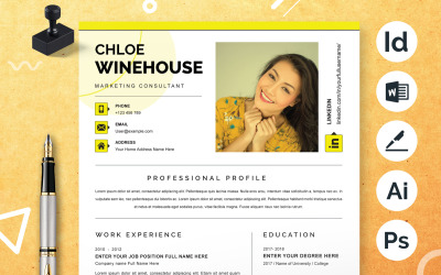 Modelli di curriculum/CV professionali, design creativo
