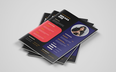 Curriculum speciale Mikasa | Modello CV in stile USA