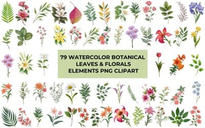 Clipart de hojas y flores botánicas de acuarela