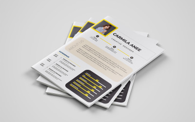 Design Professional Resume/CV šablona