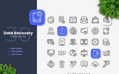 Conjunto de 30 iconos de esquema de recuperación de datos