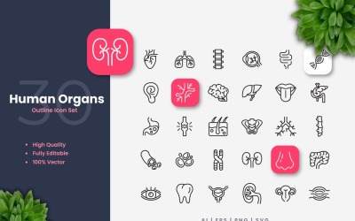 Set di 30 icone di contorno di organi umani