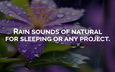 Suoni naturali della pioggia per dormire o qualsiasi progetto.