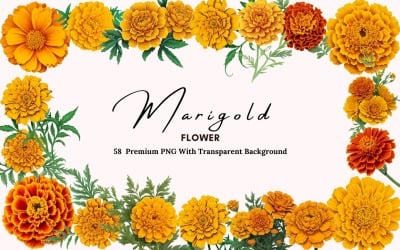 58 Ringelblumen PNG Clipart