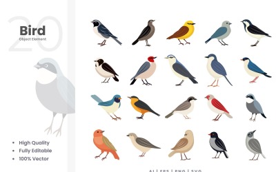 Conjunto de elementos vetoriais de 20 pássaros