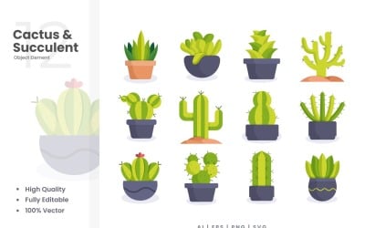 12 ensemble d&amp;#39;éléments vectoriels cactus et succulents