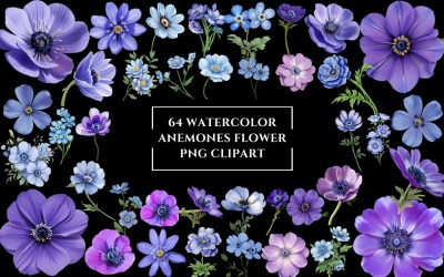 Watercolor Anemones Flower PNG Clipart